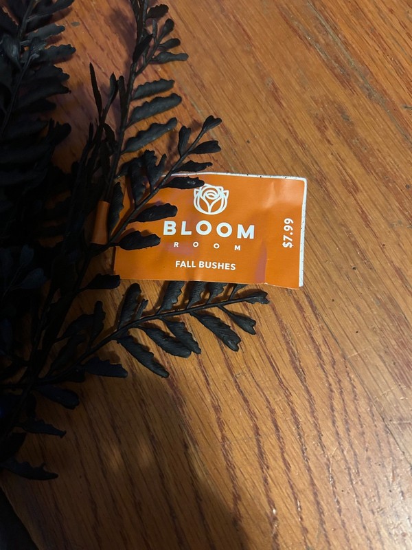 NWT (10) Bloom Room Fall Bushes Black Fern Bush Artificial Foliage Halloween gallery