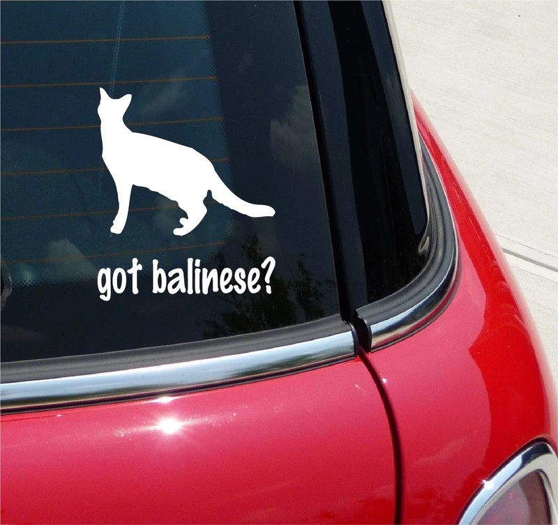 GOT BALINESE? CAT GRAPHIC DECAL STICKER ART CAR WALL