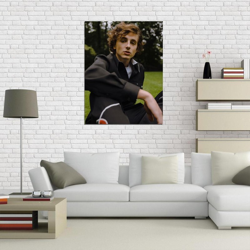 V8335 Timothee Chalamet Cool Portrait Nature Handsome Actor WALL POSTER PRINT CA gallery