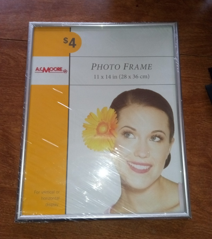 AC Moore Box Frame 11x14 Acrylic Vertical Or Horizontal Display Sealed Silver