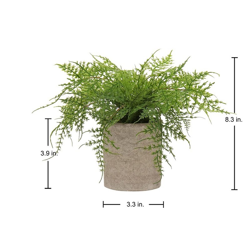 Small Fake Plant Potted Plants Artificial Decor Silk Asparagus Ferns Plant Faux gallery