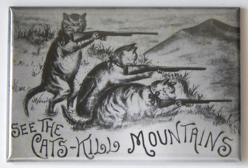 Catskill Mountains New York FRIDGE MAGNET cats