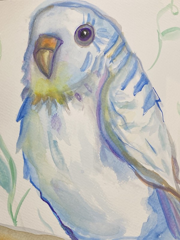 9”x12” Parakeet Flirt, Watercolors On Paper, Signed By Artist, COA.