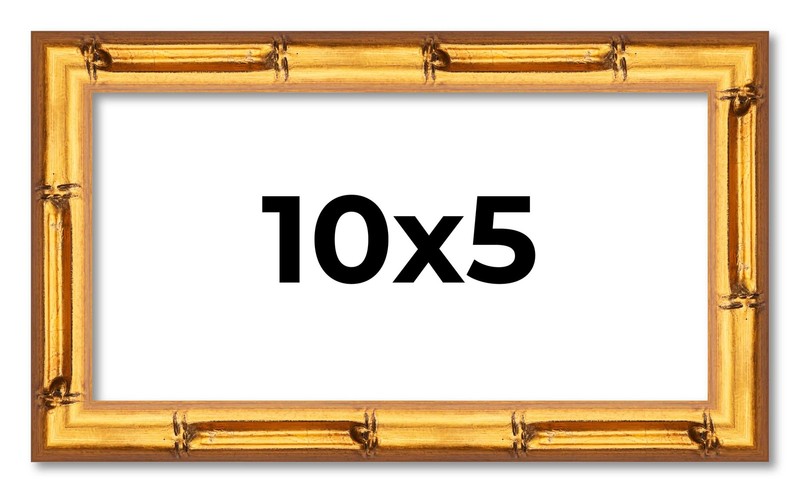10×5 Frame Gold Bamboo Picture Frame Modern Photo Frame UV Acrylic, Acid Free