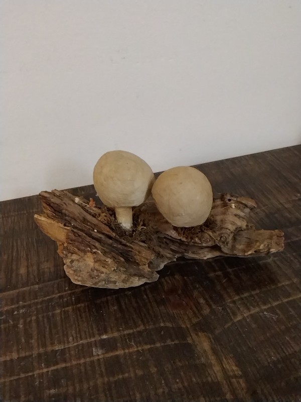Vtg Tabletop Centerpiece Mushroom Bundle Botanical Accent Piece Whimsical gallery