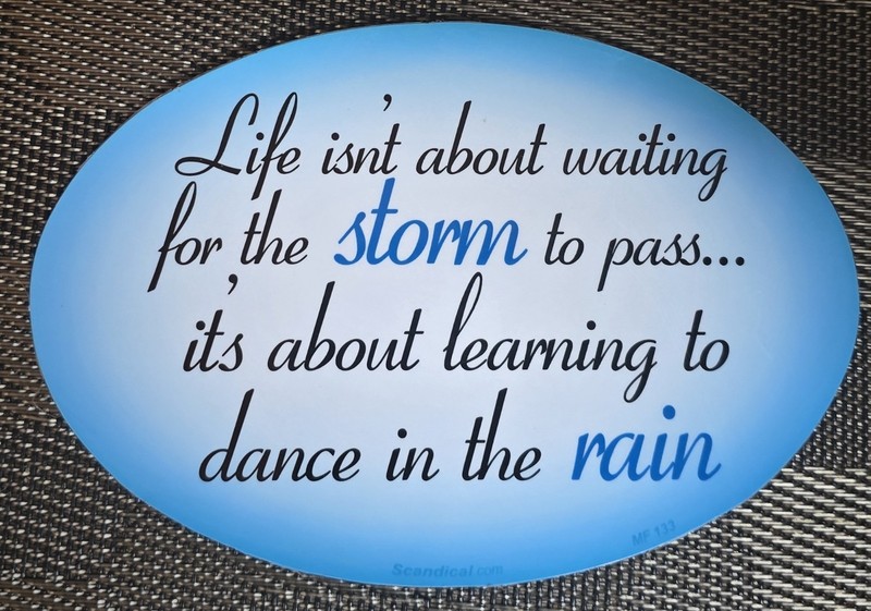 Vinyl Magnetic Decal-” Life Isn’t About Waiting for the Storm…….. “; 4″x6”