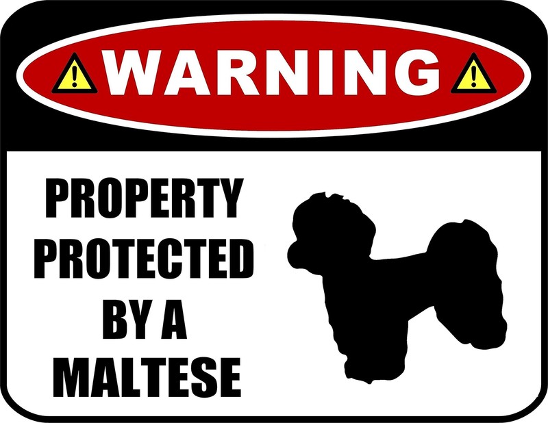 LED Light Up Red Flashing Blinking Attention Grabbing Laminated Dog Sign Warning