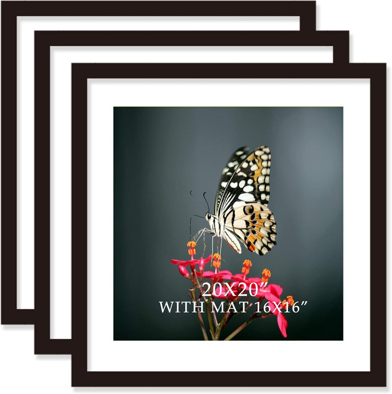 20×20 Black Solid Wood Frames with Mat, 16×16, 3 Pack