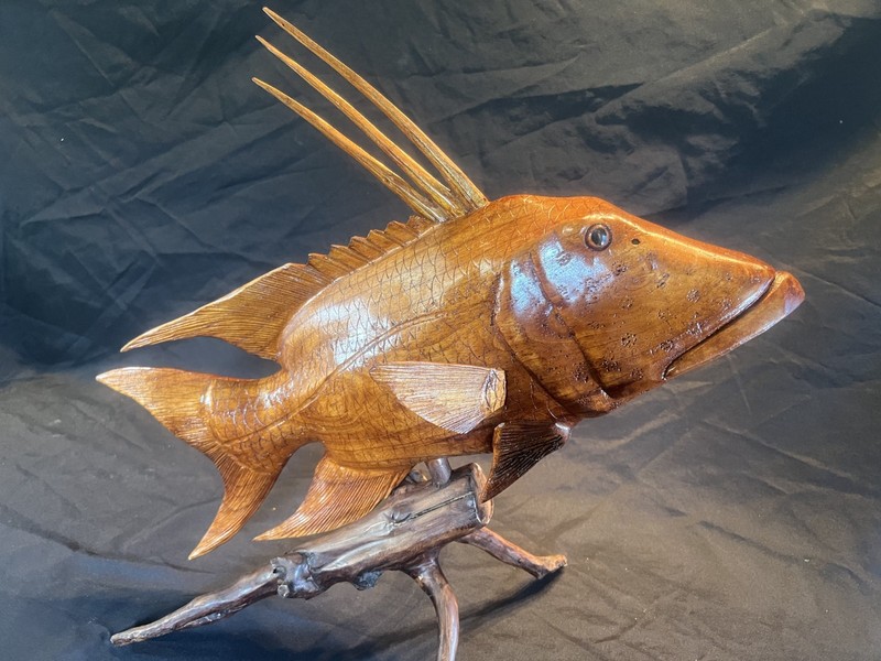 Highly Detailed Hog Fish Wood Carving On Wood Driftwood