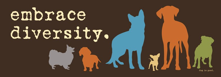 “Embrace Diversity” 🐶🐕😹 Funny Animal Bumper Car Fridge Magnet | Made in USA