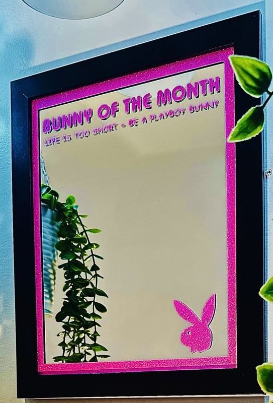 Playboy Mirror Blue Color, 10x12 Wood Framed Glass Mirror gallery