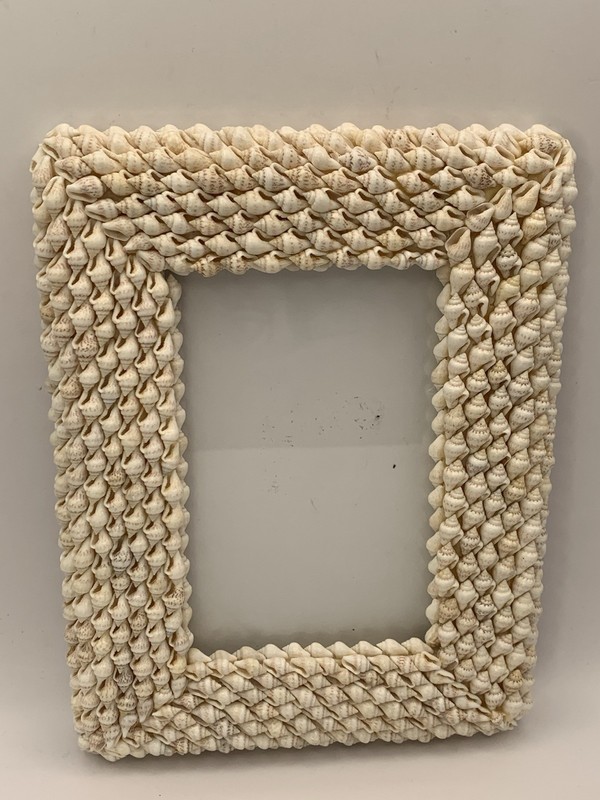 Real Seashell Picture Frame 4×6” Coastal Beach Theme. Table Top 1 Missing Shell