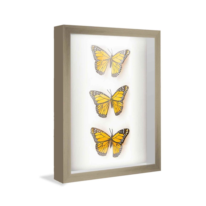 5x11 In Shadow Box Frame Grey | 1.125 inches Deep Real Wood Rustic Shadowbox Dis gallery