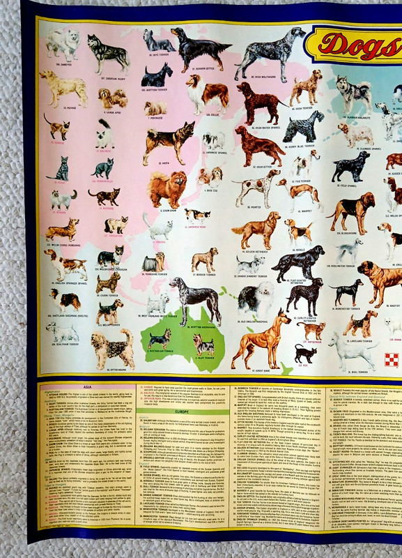 DOGS AND CATS OF THE WORLD 1973 PICTORIAL ART POSTER by Ralston Purina gallery