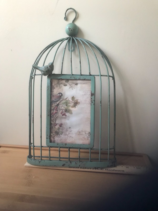 LargeBird cage Picture Frame-14 in. heigh by 8 in. wide. 4in. x 6 in. picture