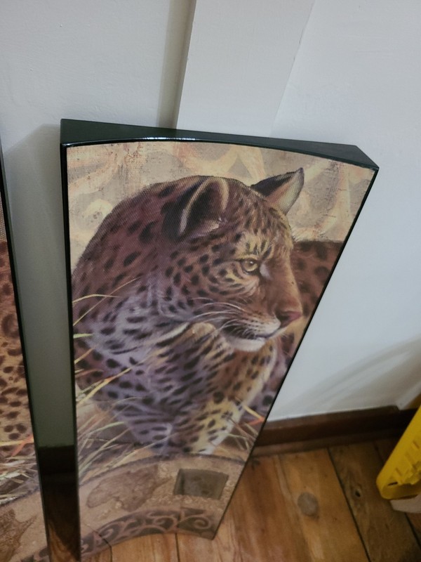 Big Cats Safari Cheetah Lion Africa Large Pair Plastic Concave Canvas 34.25"x11" gallery