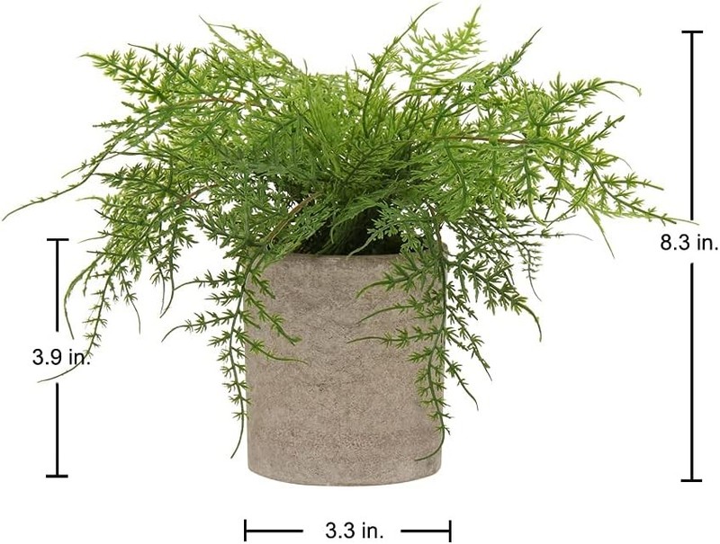 Small Fake Plant Potted Plants Artificial Decor Plastic Asparagus Ferns Plant gallery
