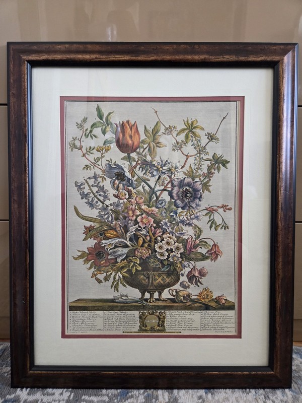 Vintage Botanical Print February Flowers Framed Wall Art Cherubs 22.5×18.5