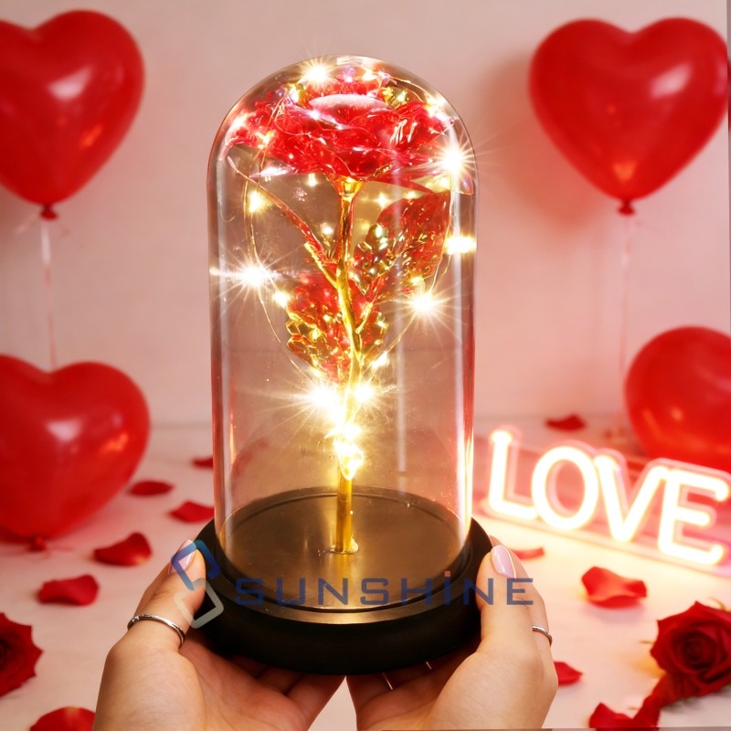 Valentines Rose Gift for Her Women Girlfriend Wife Mother’s Birthday Presents