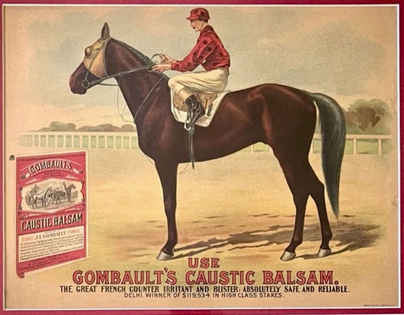 Art Print, 16x20, Gombault's Caustic Balm, 1904, Delhi, American Racehorse gallery