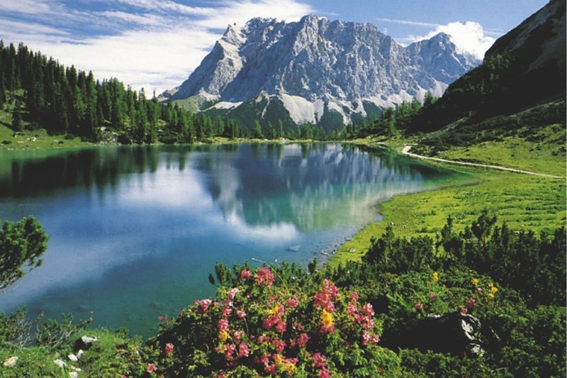 Poster Studio B – Seebensee Mountain Forest Lake View 24×36″ Wall Art Graphic