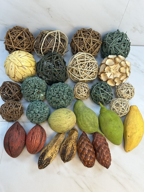 Decorative Bowl & Vase Filler Balls Wicker Rattan Dried Pods Fruits Seeds ~ EXC