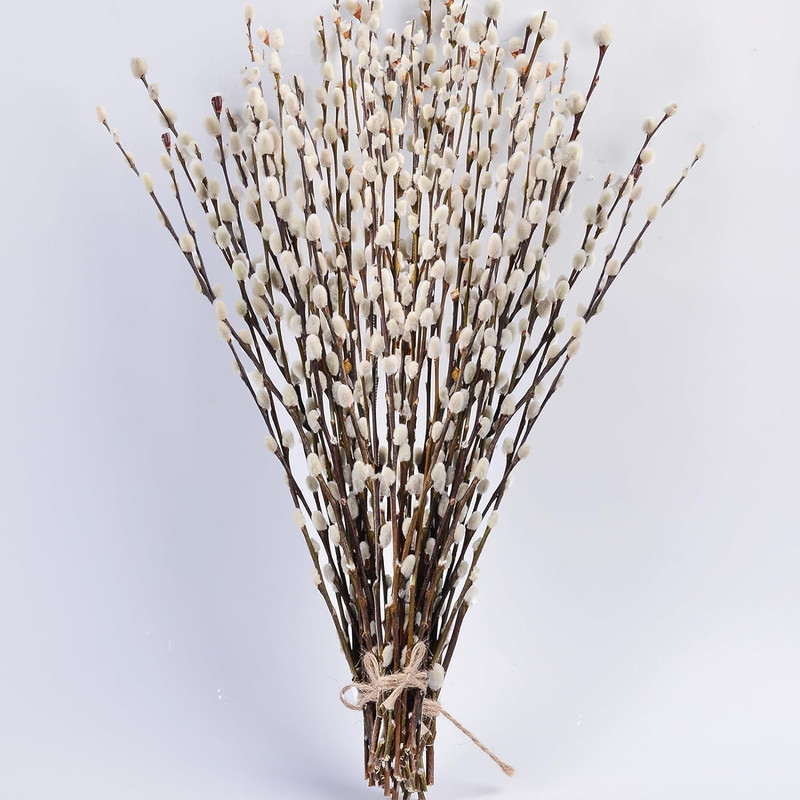 45 Stems 16＂Real Dried Pussy Willow Branches for Vase，100% Natural Pussywillows