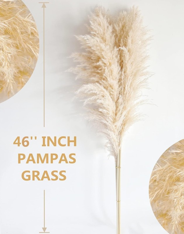 Pampas Grass Home Decor 40 Inch Tall 10 Count Elegant Dried Flower Arrangements gallery