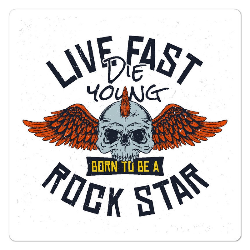 Live Fast Die Young, Vinyl Decal Sticker, Indoor Outdoor, 3 Sizes, #9542