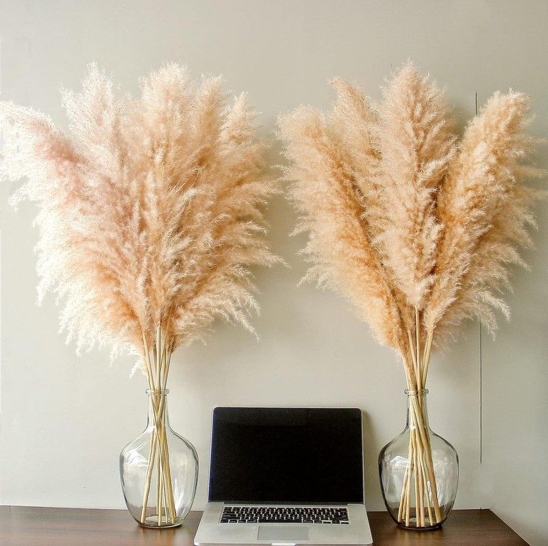 Pampas Grass Home Decor 40 Inch Tall 10 Count Elegant Dried Flower Arrangements gallery