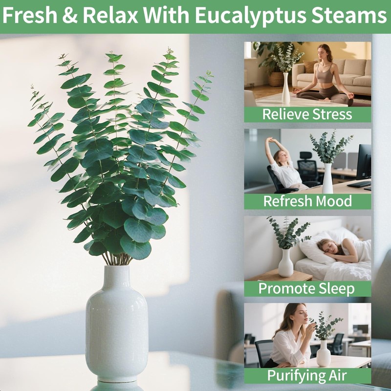 12PCS Dried Eucalyptus Bundle 17'' Real Eucalyptus Stems 100% Natural Fresh L... gallery