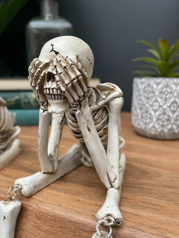 Kakeii Skull Statues Set Resin Skeleton Shelf Sitters Sitting Figurines for H... gallery