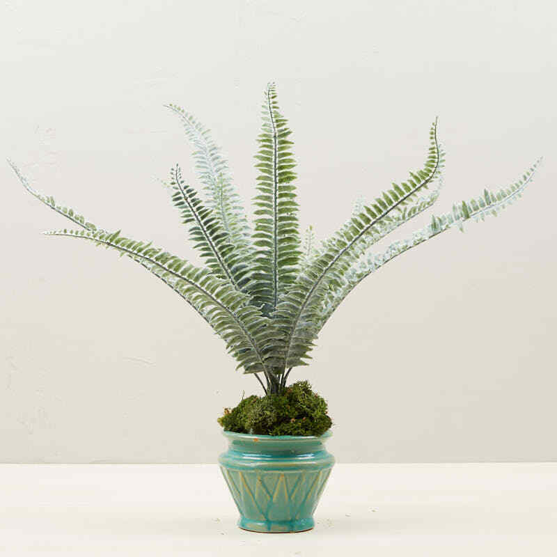 Factory Direct Craft Vinyl Flocked Green Fern Bushes for Decor - 2 Bushes gallery