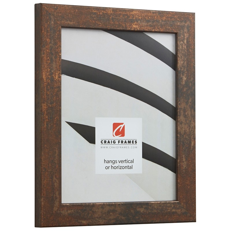 Craig Frames Bauhaus 125, Rust Picture Frame Poster Frame