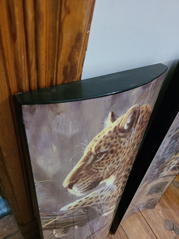 Big Cats Safari Cheetah Lion Africa Large Pair Plastic Concave Canvas 34.25"x11" gallery