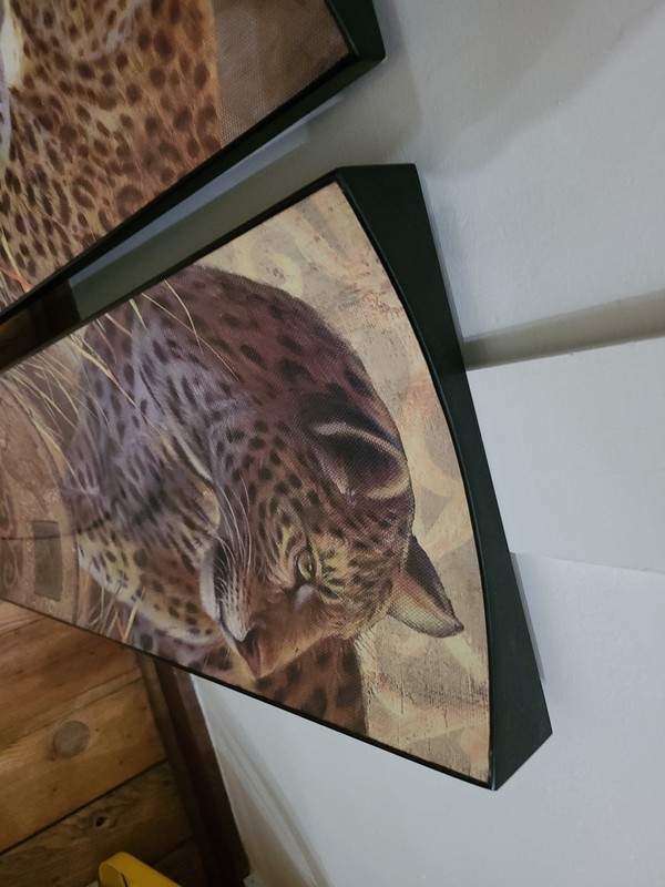 Big Cats Safari Cheetah Lion Africa Large Pair Plastic Concave Canvas 34.25"x11" gallery