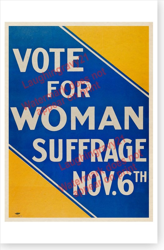 Vote For Woman Suffrage Retro Circa 1917 Womens Suffrage Poster