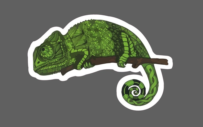 Chameleon Sticker Geometric Waterproof – Buy Any 4 For $1.75 Each Storewide!