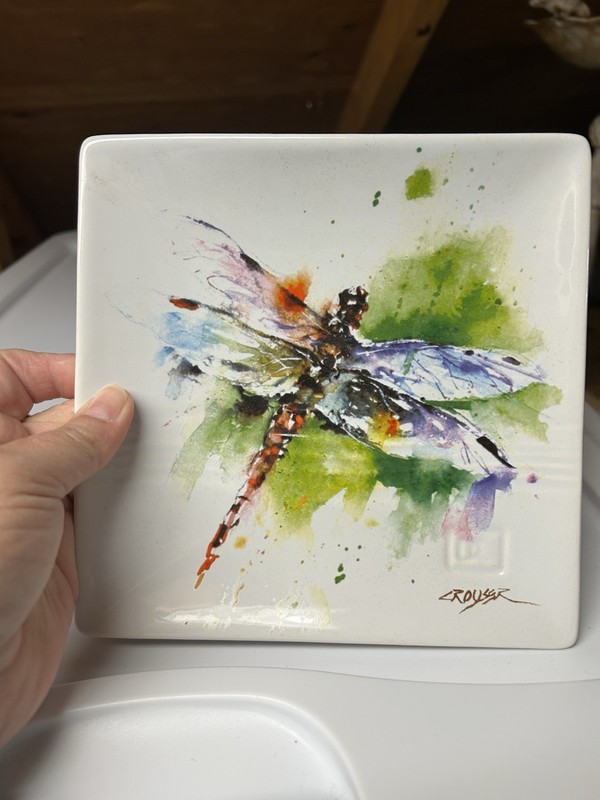 Dragonfly Plate Beautiful Colors Can Be Displayed Or Are Used For Ring Tray