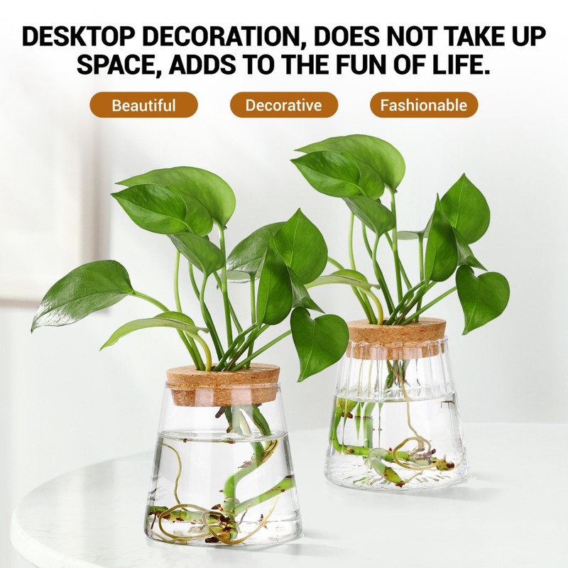 Plant Terrarium with Wooden Stand, Air Planter Bulb Glass Vase Metal Swivel Hold gallery