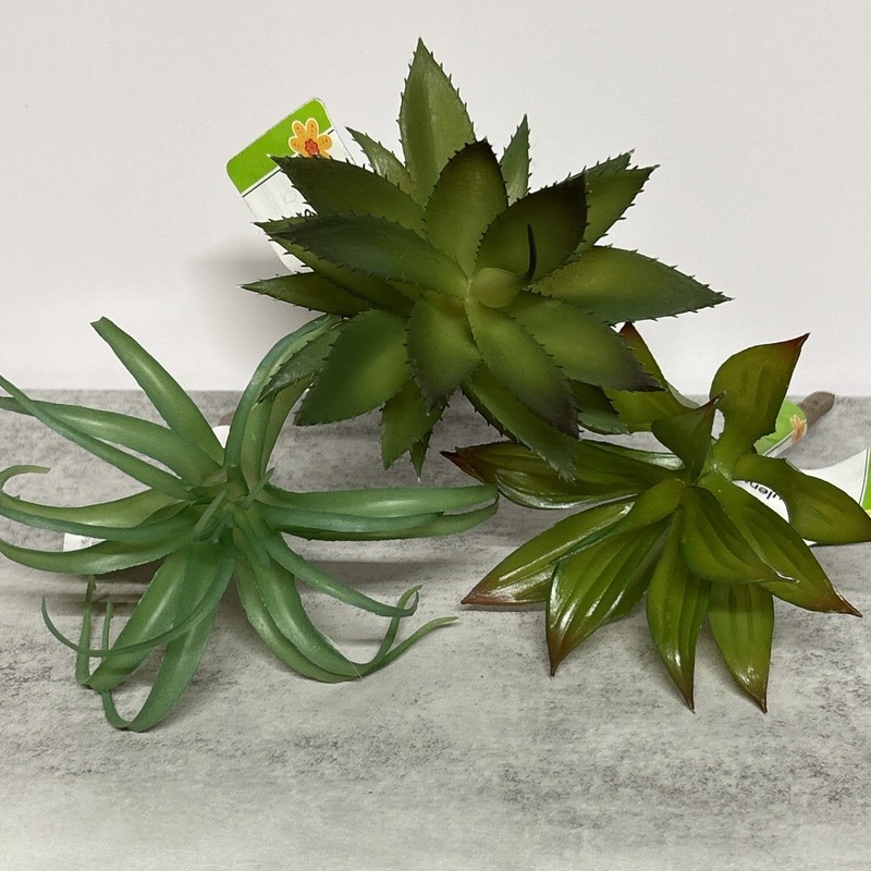 Succulent Picks Artificial Assorted Lot Of 16 Aloe Fern Flowers Blue Purple gallery