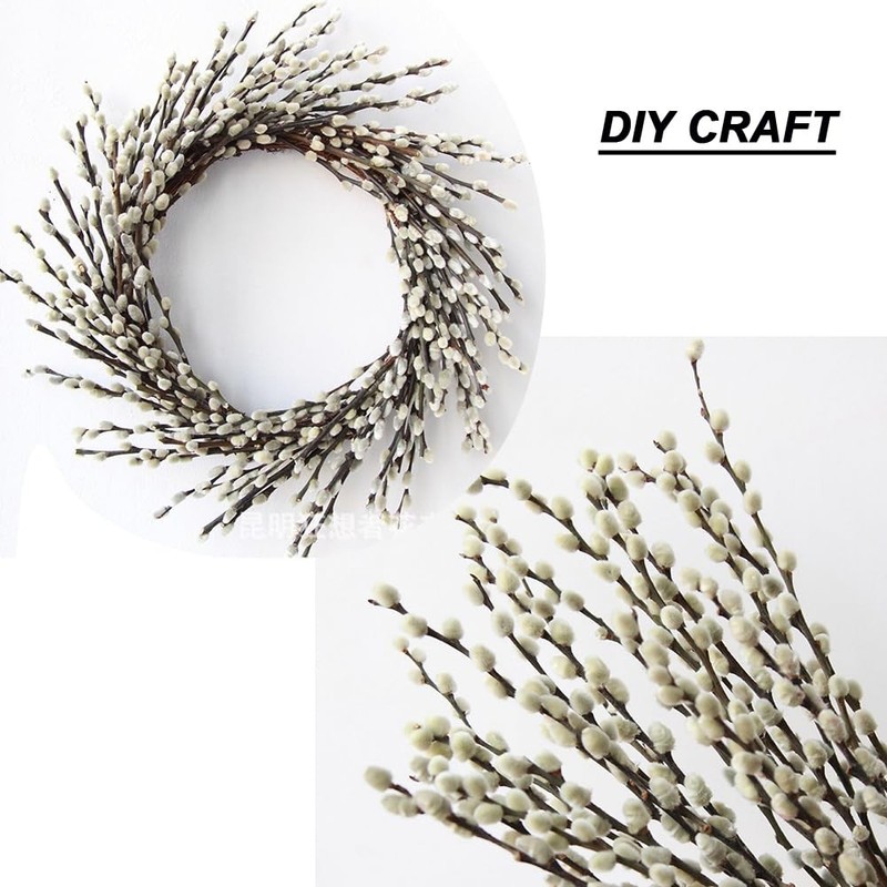 30 Branches Pussy Willow Branches for Vases 23 Inches Natural Dried Pussy Wil... gallery