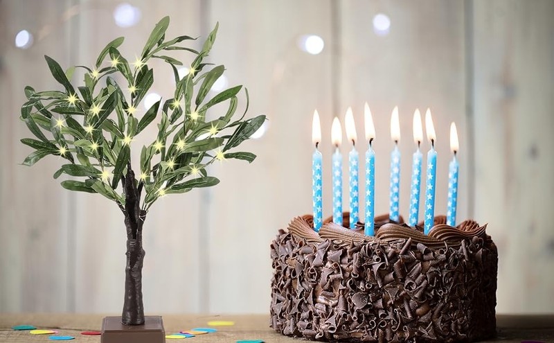 2FT Light Up Artificial Olive Tree with LED Lights, Battery or USB Powered gallery