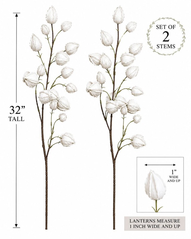 2 White Chinese Lantern Stems | 32 Inch Tall Decorative Botanical Branches | Far gallery