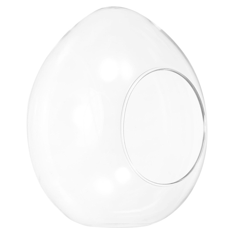 Globe Terrarium Air Plant Planter, 6.7 Inch Egg Shaped Glass Clear
