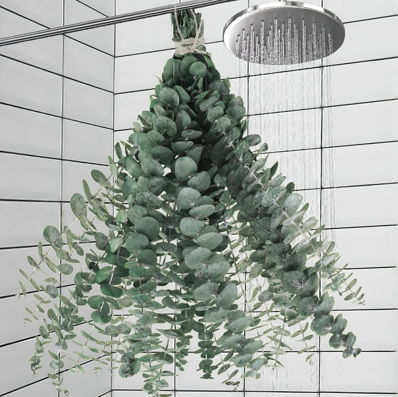11 PCS Real Dried Eucalyptus Stem for Shower & Bathroom Decor – 17” Large Natur