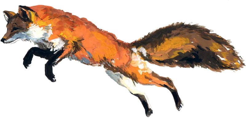 Red Fox Phone Sticker (2 Inch Wide) Hunter Animal Wild Outdoors Beautiful