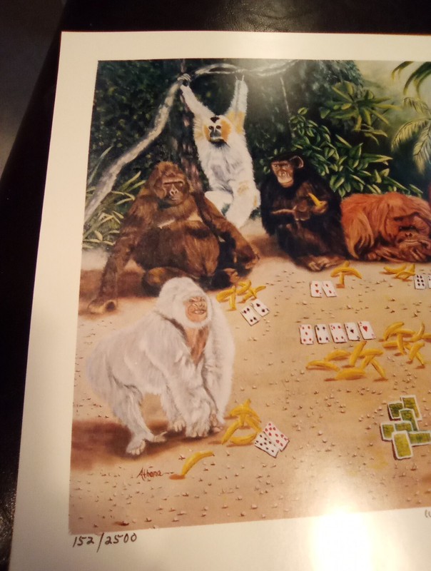 HIGH ROLLER MONKEYS, GORILLAS & MORE PICTURE GREAT FOR ANY COLLECTION! gallery