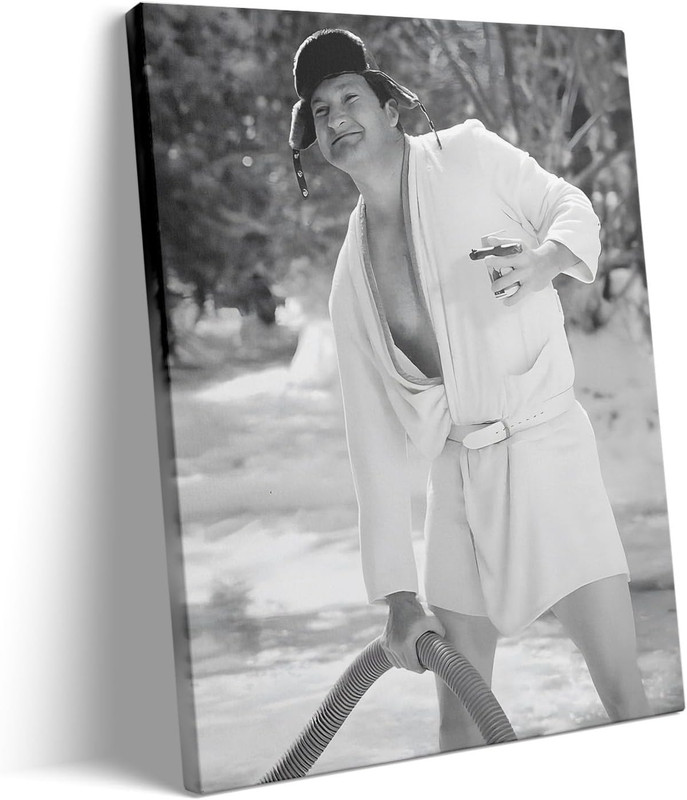 Funny Bathroom Canvas Wall Art, Hilarious Toilet Paper Canvas Print, Bathroom Co