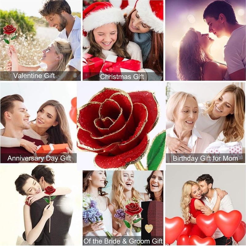 Forever Preserved Rose with Stand - Elegant Anniversary Gift gallery
